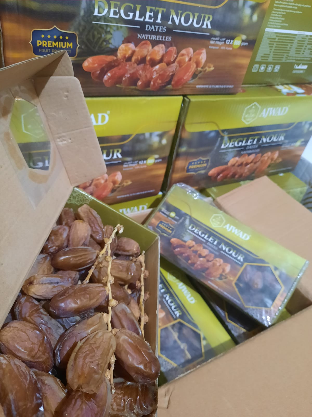 Importir Kurma
