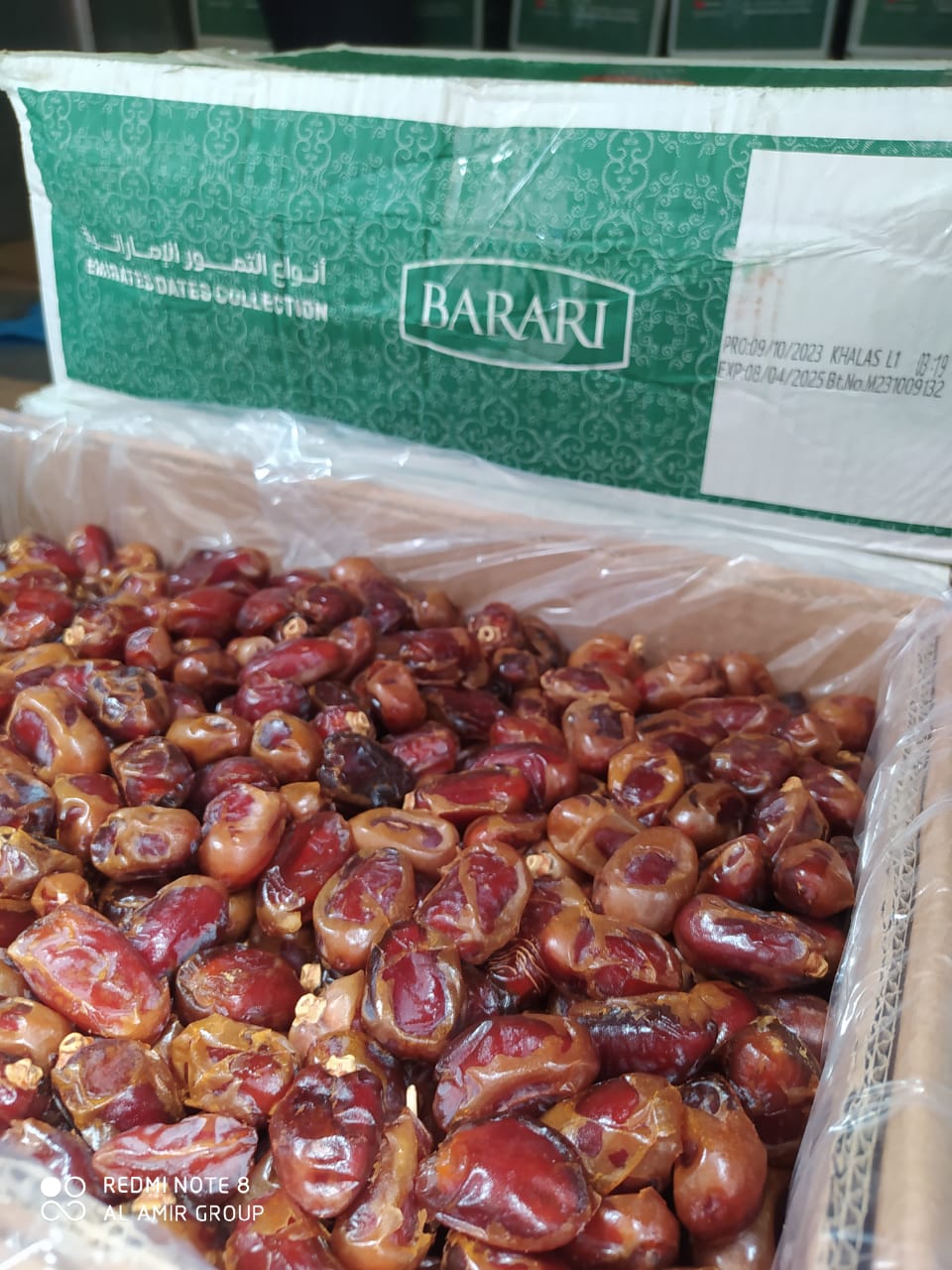 Importir Kurma