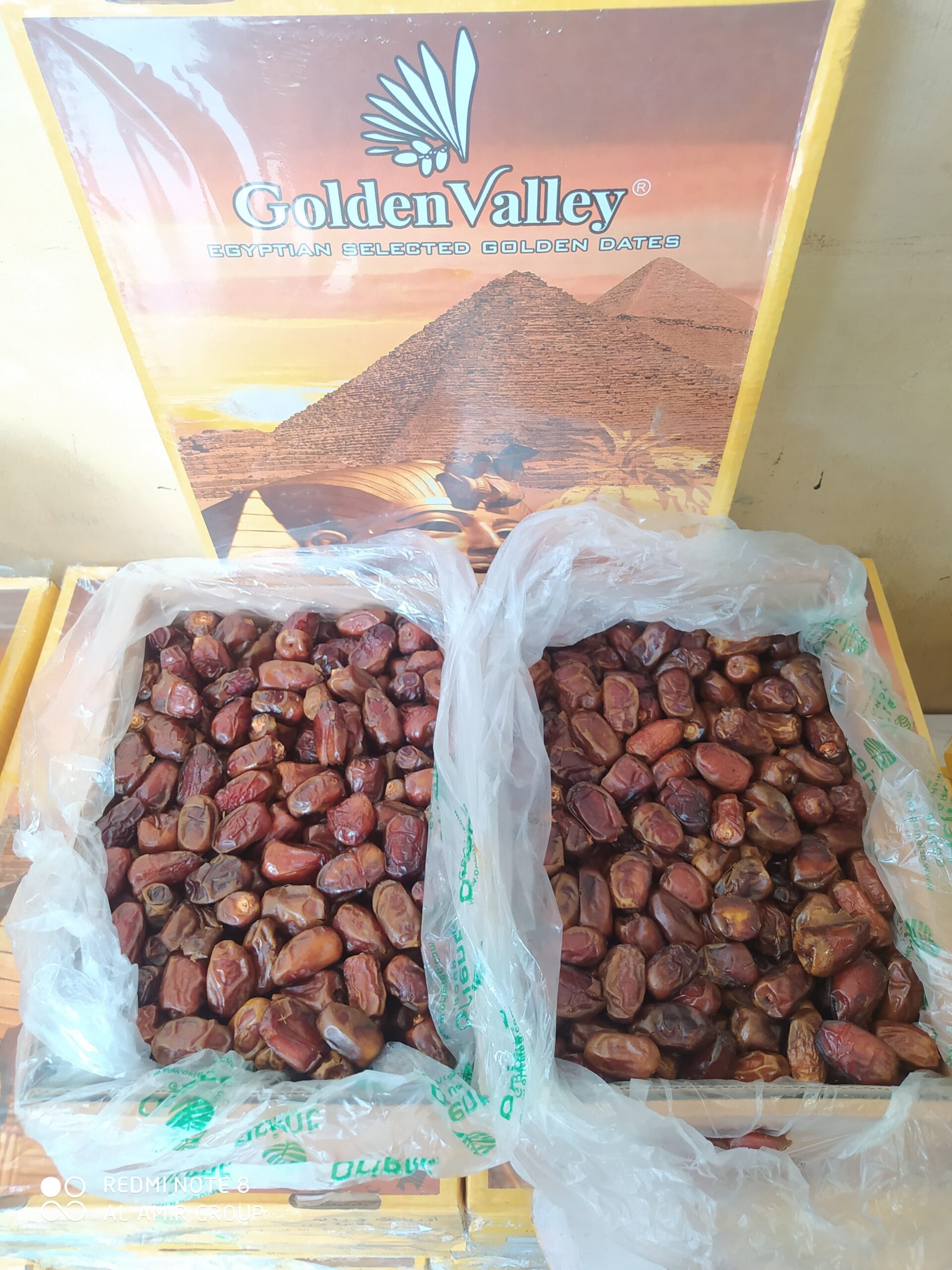 Kurma Golden Valley
