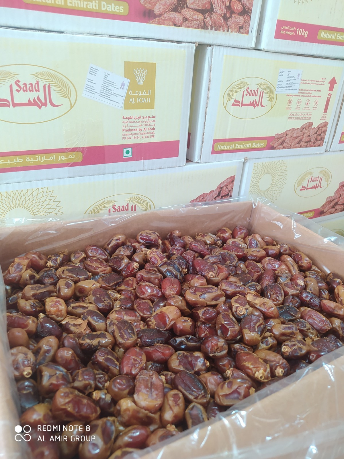 Importir Kurma