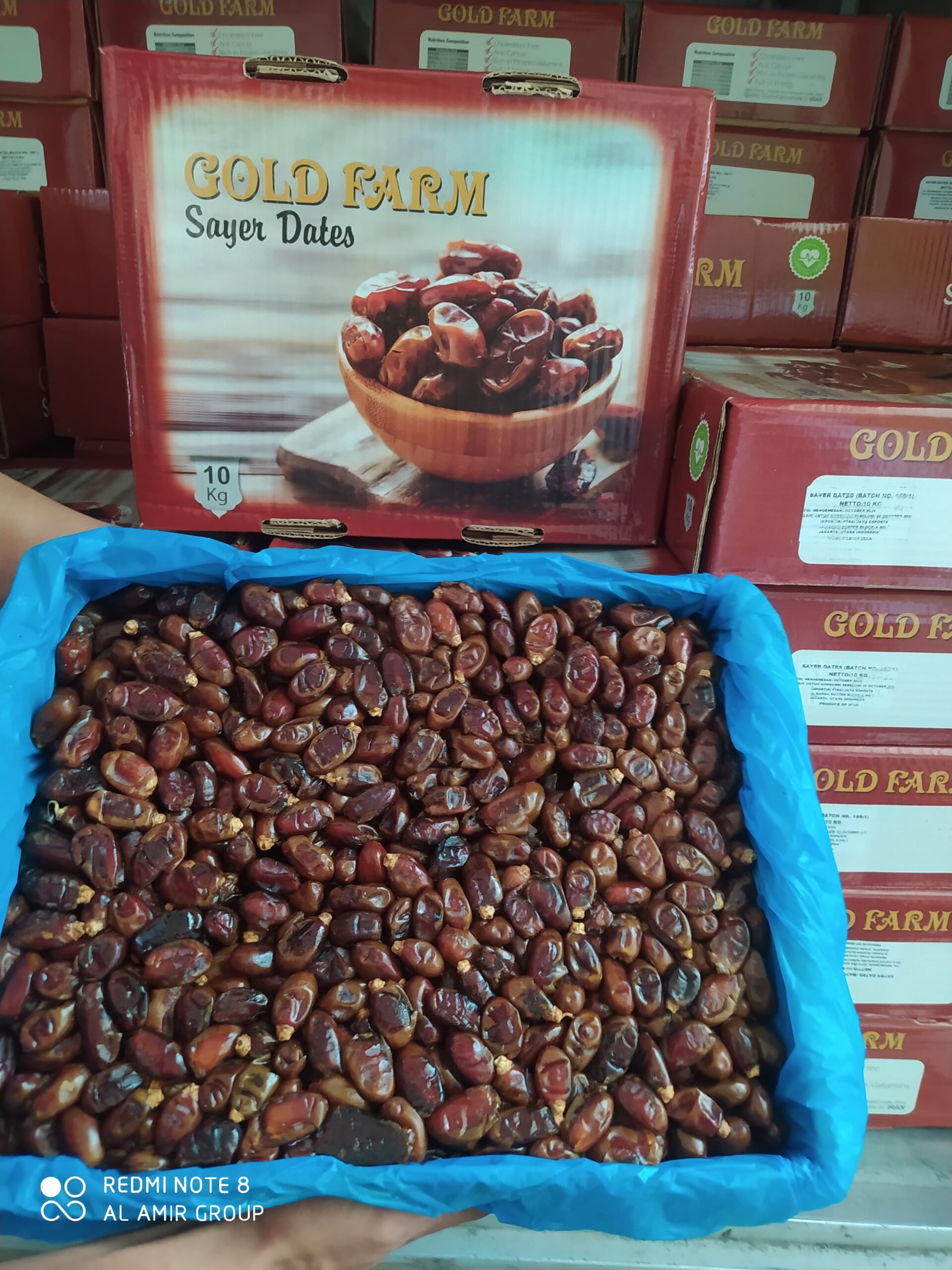 Importir Kurma