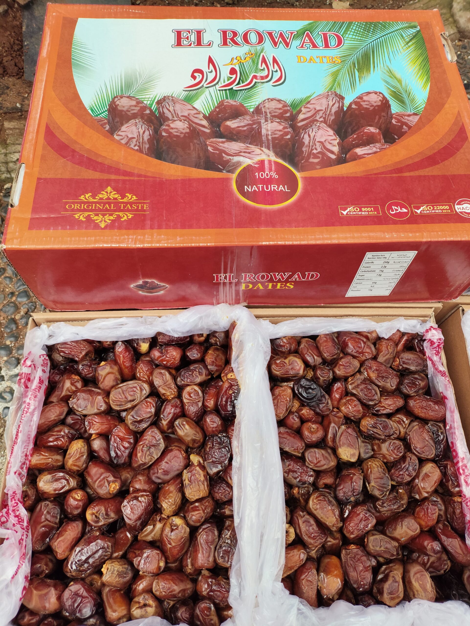 Importir Kurma