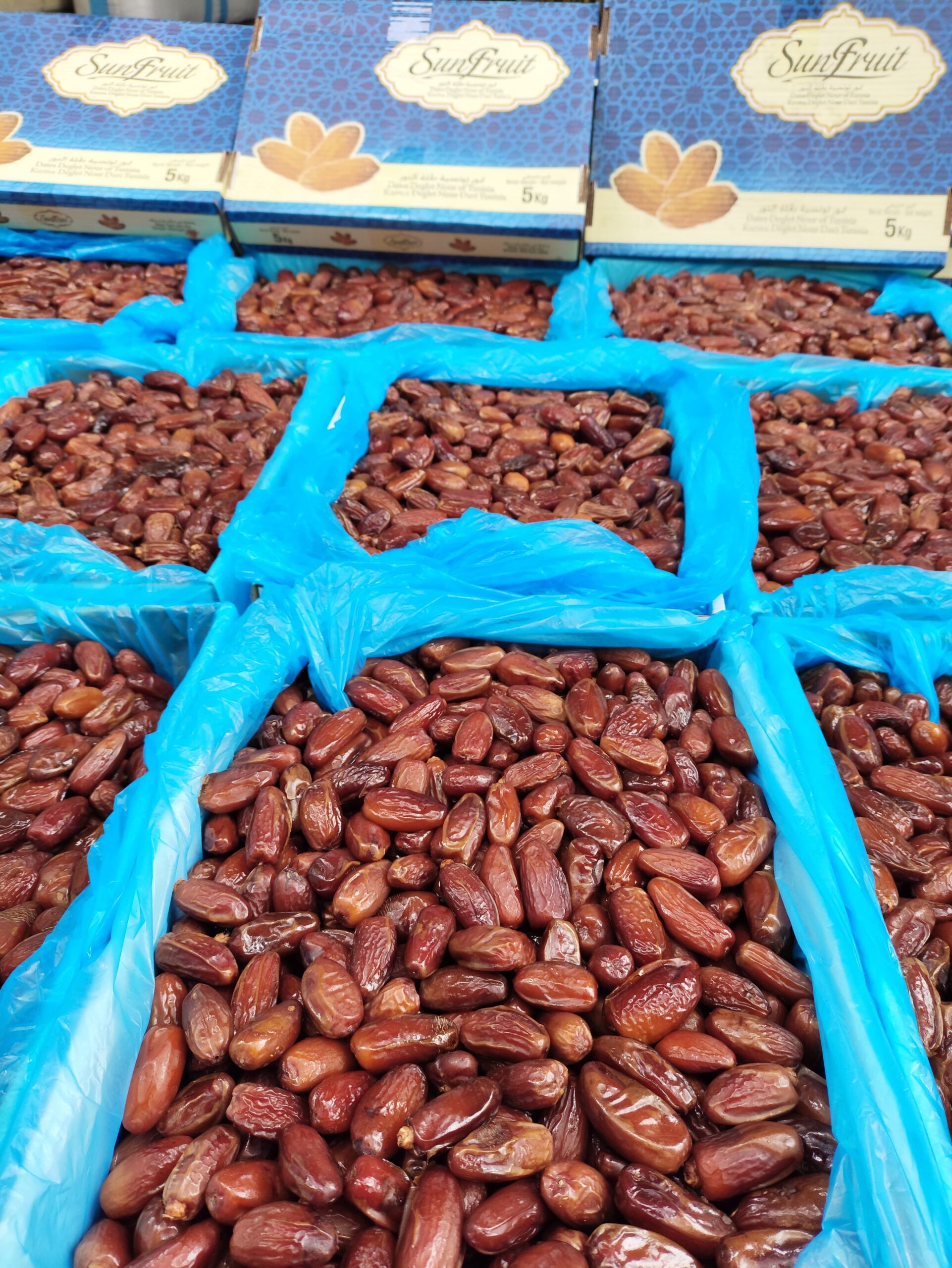 Importir Kurma